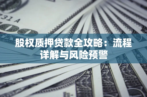 北京股权质押贷款全攻略：流程详解与风险预警