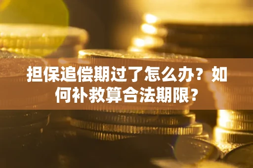 北京担保追偿期过了怎么办？如何补救算合法期限？