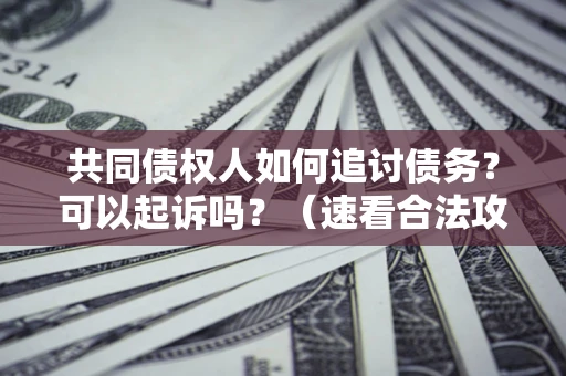 北京共同债权人如何追讨债务？可以起诉吗？（速看合法攻略）