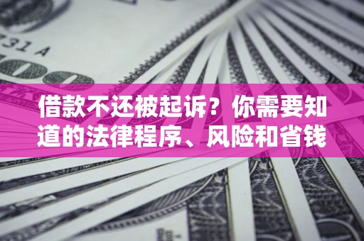 北京借款不还被起诉？你需要知道的法律程序、风险和省钱技巧